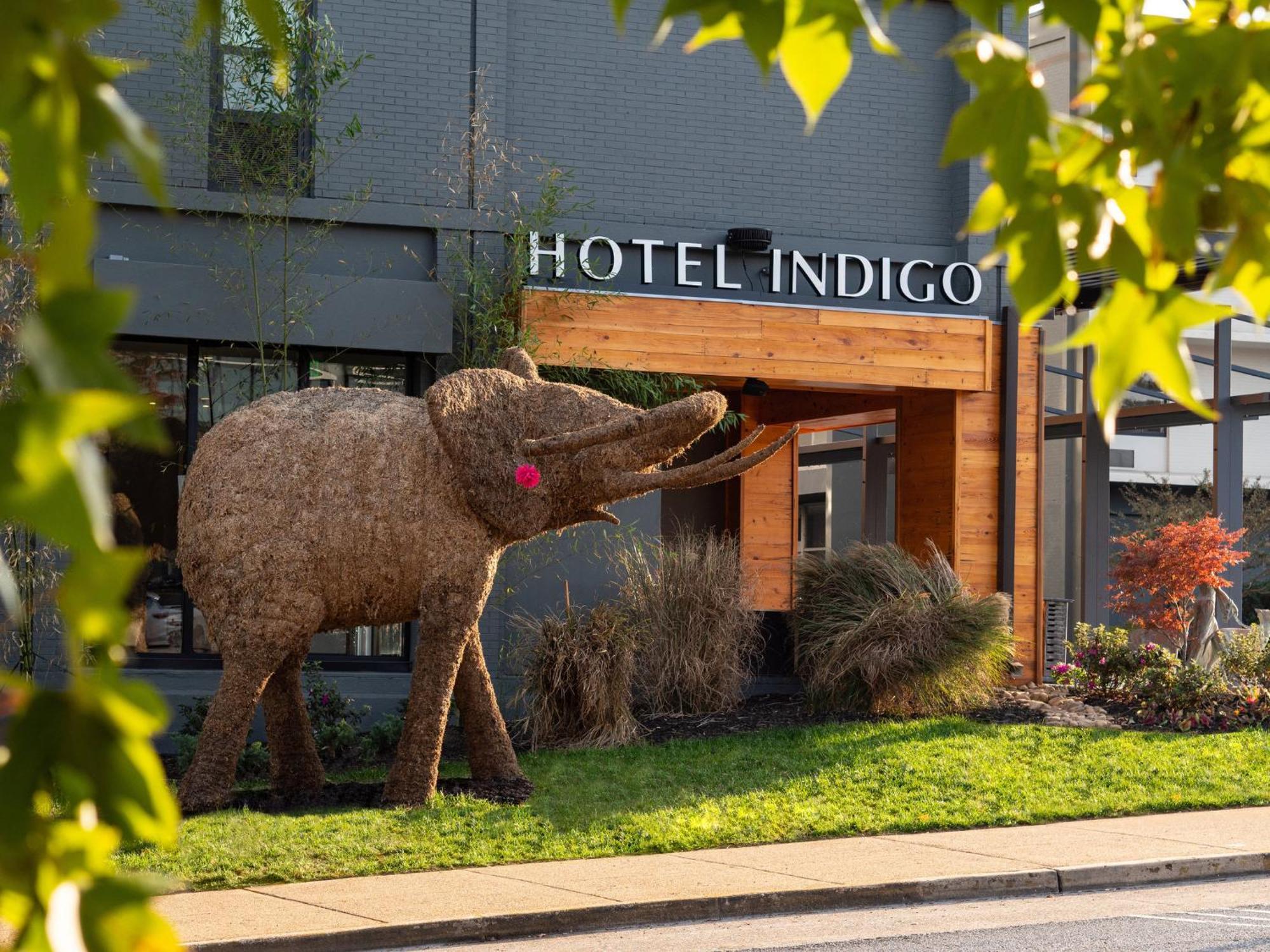 Hotel Indigo - Downtown By Ihg Chattanooga