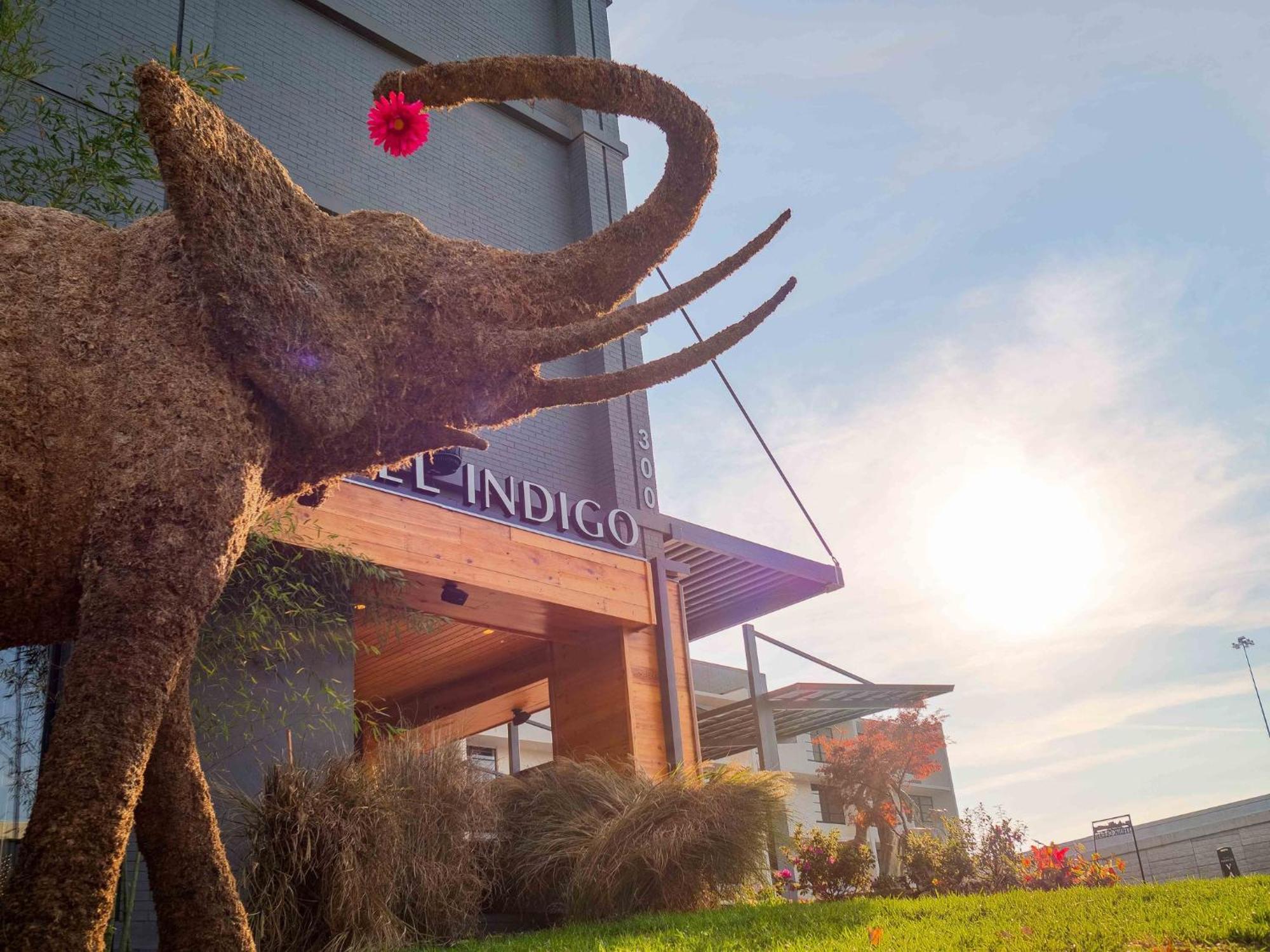 Indigo - Downtown By Ihg Hotel
